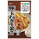 江崎グリコ バランス食堂 豚の玉ねぎ生姜炒めの素 74g×10袋入| 送料無料 一般食品 調味料 素 生姜焼き
