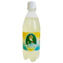 Ante(アンテ) 金沢湯涌サイダー 柚子乙女 500mlペットボトル×24本入×(2ケース)| 送料無料 炭酸 サイダー ゆず 柚子