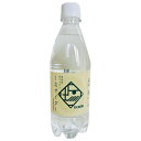 Ante(アンテ) 奥能登地サイダー しおサイダー 500mlPET×24本入×(2ケース)| 送料無料 炭酸 サイダー しお 塩