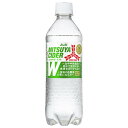 アサヒ飲料 三ツ矢サイダー W(ダブル)【特定保健用食品 特保】 485mlペットボトル×24本入×(2ケース)| 送料無料 炭酸飲料 ゼロ系 特保 血糖値 中性脂肪