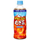 伊藤園 健康ミネラルむぎ茶 (冷凍兼用ボトル) 485mlペットボトル×24本入×(2ケース)| 送料無料 お茶飲料 PET 氷結飲料 冷凍ボトル 麦茶