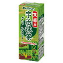 メロディアン グリーンティー 200ml紙パック×24本入×(2ケース)| 送料無料 お茶 茶飲料 抹茶 紙パック