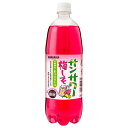 サンガリア サンサワー 梅しそ 1Lペットボトル×12本入| 送料無料 炭酸 無添加 割り材 果汁 ソーダ 炭酸飲料