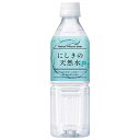 錦町農産加工 にしきの天然水 500mlペットボトル×24本入| 送料無料 ミネラルウォーター 水 PET 鉱水 軟水(4)