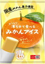 谷尾食糧工業 凍らせて食べる 国産みかんアイス (70g×4)×12袋入×(2ケース)| 送料無料 お菓子 アイス 国産 みかん