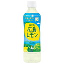 伊藤園 ニッポンエール 瀬戸内 広島レモン 500gペットボトル×24本入×(2ケース)| 送料無料 檸檬 レモン 果汁 果物 フルーツ 広島