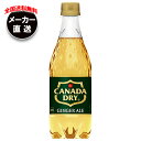 コカコーラ カナダドライ ジンジャーエール 500mlペットボトル×24本入×(2ケース) メーカー直送|全国送料無料 炭酸 ジンジャーエール ジンジャエール コカコーラ