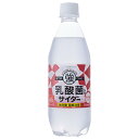 友桝飲料 乳酸菌入りサイダー 500mlペットボトル×24本入×(2ケース)| 送料無料 サイダー ソーダ 炭酸 スパークリング 乳酸菌