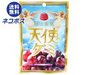 ネコポス アイデアパッケージ 天使のグミ 恵みの濃厚ぶどう味 40g×10袋入| 全国送料無料 お菓子 グミ 葡萄 グレープ