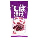 アイデアパッケージ 京都しば漬け風 柿ノ種揚 42g×10袋入| 送料無料 おつまみ 柿の種 揚げおかき 漬物風