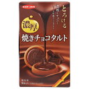 イトウ製菓 焼きチョコタルト 8枚×5箱入| 送料無料 お菓子 焼菓子 クッキー 濃厚 とろける