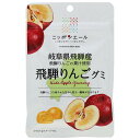 JA全農 ニッポンエール 岐阜県産飛騨りんご グミ 40g×10袋入×(2ケース)| 送料無料 お菓子 グミ 国産 日本産 全農