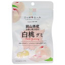 JA全農 ニッポンエール 山県産白桃 グミ 40g×10袋入| 送料無料 お菓子 グミ 国産 日本産 全農