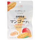 JA全農 ニッポンエール 宮崎県産マンゴー グミ 40g×10袋入| 送料無料 お菓子 グミ 国産 日本産 全農