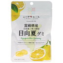 JA全農 ニッポンエール 宮崎県産日向夏 グミ 40g×10袋入×(2ケース)| 送料無料 お菓子 グミ 国産 日本産 全農