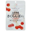 JA全農 ニッポンエール 山形県産さくらんぼ グミ 40g×10袋入×(2ケース)| 送料無料 お菓子 グミ 国産 日本産 全農