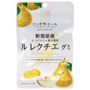 JA全農 ニッポンエール 新潟県産ルレクチェ グミ 40g×10袋入×(2ケース)| 送料無料 お菓子 グミ 国産 日本産 全農