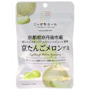 JA全農 ニッポンエール 京都府産京たんごメロン グミ 40g×10袋入×(2ケース)| 送料無料 お菓子 グミ 国産 日本産 全農