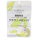 JA全農 ニッポンエール 静岡県産クラウンメロン グミ 40g×10袋入×(2ケース)| 送料無料 お菓子 グミ 国産 日本産 全農