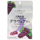 JA全農 ニッポンエール 大阪府産デラウェア グミ 40g×10袋入×(2ケース)| 送料無料 お菓子 グミ 国産 日本産 全農
