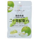 JA全農 ニッポンエール 鳥取県産二十世紀梨 グミ 40g×10袋入| 送料無料 お菓子 グミ 国産 日本産 全農