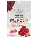 JA全農 ニッポンエール 島根県産神紅ぶどう グミ 40g×10袋入×(2ケース)| 送料無料 お菓子 グミ 国産 日本産 全農