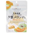 JA全農 ニッポンエール 北海道産夕張メロン グミ 40g×10袋入×(2ケース)| 送料無料 お菓子 グミ 国産 日本産 全農