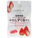 JA全農 ニッポンエール 滋賀県産みおしずく苺 グミ 40g×10袋入| 送料無料 お菓子 グミ 国産 日本産 全農