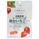 JA全農 ニッポンエール 宮城県産仙台いちご グミ 40g×10袋入×(2ケース)| 送料無料 お菓子 グミ 国産 日本産 全農
