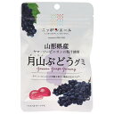 JA全農 ニッポンエール 山形県産月山ぶどう グミ 40g×10袋入×(2ケース)| 送料無料 お菓子 グミ 国産 日本産 全農