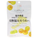 JA全農 ニッポンエール 福井県産完熟福太夫梅 グミ 40g×10袋入| 送料無料 お菓子 グミ 国産 日本産 全農