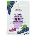 JA全農 ニッポンエール 岩手産山葡萄 グミ 40g×10袋入×(2ケース)| 送料無料 お菓子 グミ 国産 日本産 全農