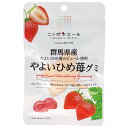 JA全農 ニッポンエール 群馬やよいひめ苺 グミ 40g×10袋入×(2ケース)| 送料無料 お菓子 グミ 国産 日本産 全農