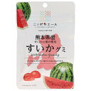 JA全農 ニッポンエール 熊本県産すいか グミ 40g×10袋入×(2ケース)| 送料無料 お菓子 グミ 国産 日本産 全農