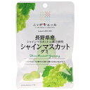 JA全農 ニッポンエール 長野県産シャインマスカット グミ 40g×10袋入×(2ケース)| 送料無料 お菓子 グミ 国産 日本産 全農