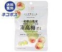 【全国送料無料】【ネコポス】JA全農 ニッポンエール 和歌山県産南高梅 グミ 40g×10袋入| お菓子 グミ 国産 日本産 全農