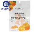 【全国送料無料】【ネコポス】JA全農 ニッポンエール 鹿児島県産大将季&紅甘夏 グミ 40g×10袋入| お菓子 グミ 国産 日本産 全農