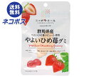 ネコポス JA全農 ニッポンエール 群馬やよいひめ苺 グミ 40g×10袋入| 全国送料無料 お菓子 グミ 国産 日本産 全農