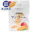 ネコポス JA全農 ニッポンエール 宮崎県産マンゴー グミ 40g×10袋入| 全国送料無料 お菓子 グミ 国産 日本産 全農