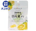 【全国送料無料】【ネコポス】JA全農 ニッポンエール 宮崎県産日向夏 グミ 40g×10袋入| お菓子 グミ 国産 日本産 全農