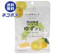 【全国送料無料】【ネコポス】JA全農 ニッポンエール 高知県産ゆず グミ 40g×10袋入| お菓子 グミ 国産 日本産 全農
