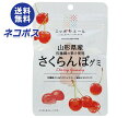 【全国送料無料】【ネコポス】JA全農 ニッポンエール 山形県産さくらんぼ グミ 40g×10袋入| お菓子 グミ 国産 日本産 全農