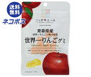 【全国送料無料】【ネコポス】JA全農 ニッポンエール 青森県産世界一りんご グミ 40g×10袋入| お菓子 グミ 国産 日本産 全農(4)