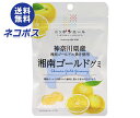 【全国送料無料】【ネコポス】JA全農 ニッポンエール 神奈川県産湘南ゴールド グミ 40g×10袋入| お菓子 グミ 国産 日本産 全農