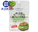 【全国送料無料】【ネコポス】JA全農 ニッポンエール富山県入善ジャンボ西瓜 グミ 40g×10袋入| お菓子 グミ 国産 日本産 全農
