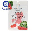 【全国送料無料】【ネコポス】JA全農 ニッポンエール 熊本県産すいか グミ 40g×10袋入| お菓子 グミ 国産 日本産 全農