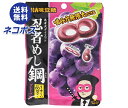 ネコポス UHA味覚糖 忍者めし鋼 グレープ味 45g×10袋入| 全国送料無料 ハードグミ 忍者式ダイエット グレープ 葡萄