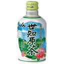 JA長崎 リンアイ 世知原茶 290mlボトル缶×24本入| 送料無料 お茶 ボトル缶 せちばる 長崎産 緑茶