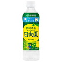 伊藤園 ニッポンエール 宮崎県産日向夏 500gペットボトル×24本入| 送料無料 柑橘 フルーツ 果物