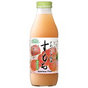 マルカイコーポレーション 順造選 長野県産 すもも 500ml瓶×12本入×(2ケース)| 送料無料 国産 すもも フルーツ 果実